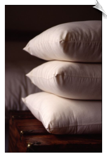 Standard Bed Pillow, Extra Thick Fill (20" x 25")