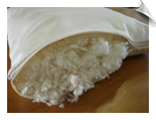 Standard Woolley Down Bed Pillow, (20" x 25")