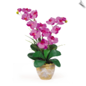 Double Stem Phalaenopsis Silk Flower Arrangement
