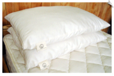Organic Pillows by Holy Lamb Organics