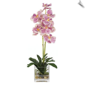 Vanda Artificial Orchid w/Glass Vase