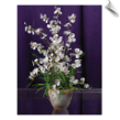 White Dancing Lady Orchid in Pot